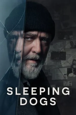 123Mkv Sleeping Dogs 2024 English Full Movie WEB-DL 480p 720p 1080p Download